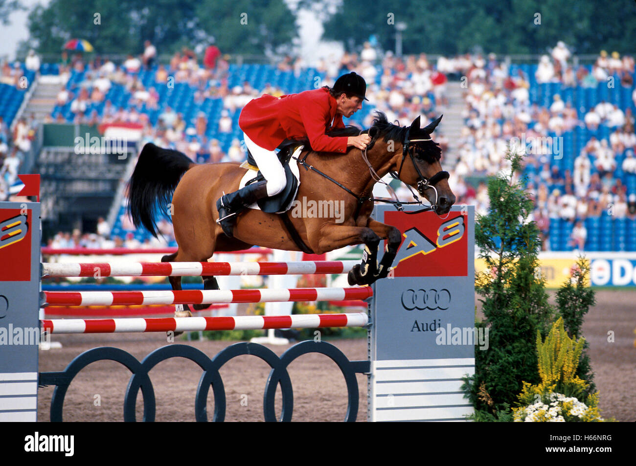 World Equestrian Games, The Hague, 1994 Ludger Beerbaum (GER) riding Almox Ratina Z Stock Photo