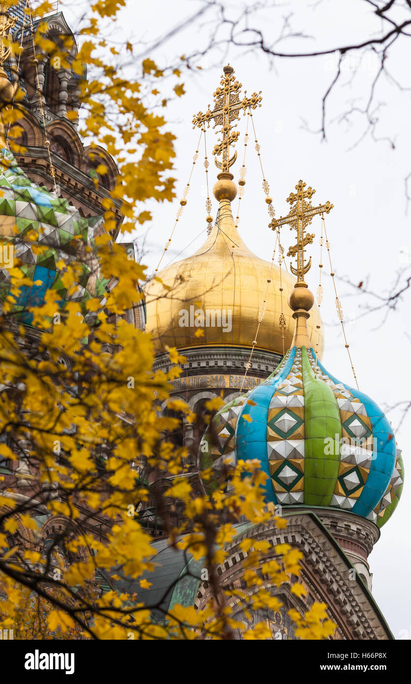 Two domes of the Church of the Savior on Blood St.Petersburg, Russia Stock Photo