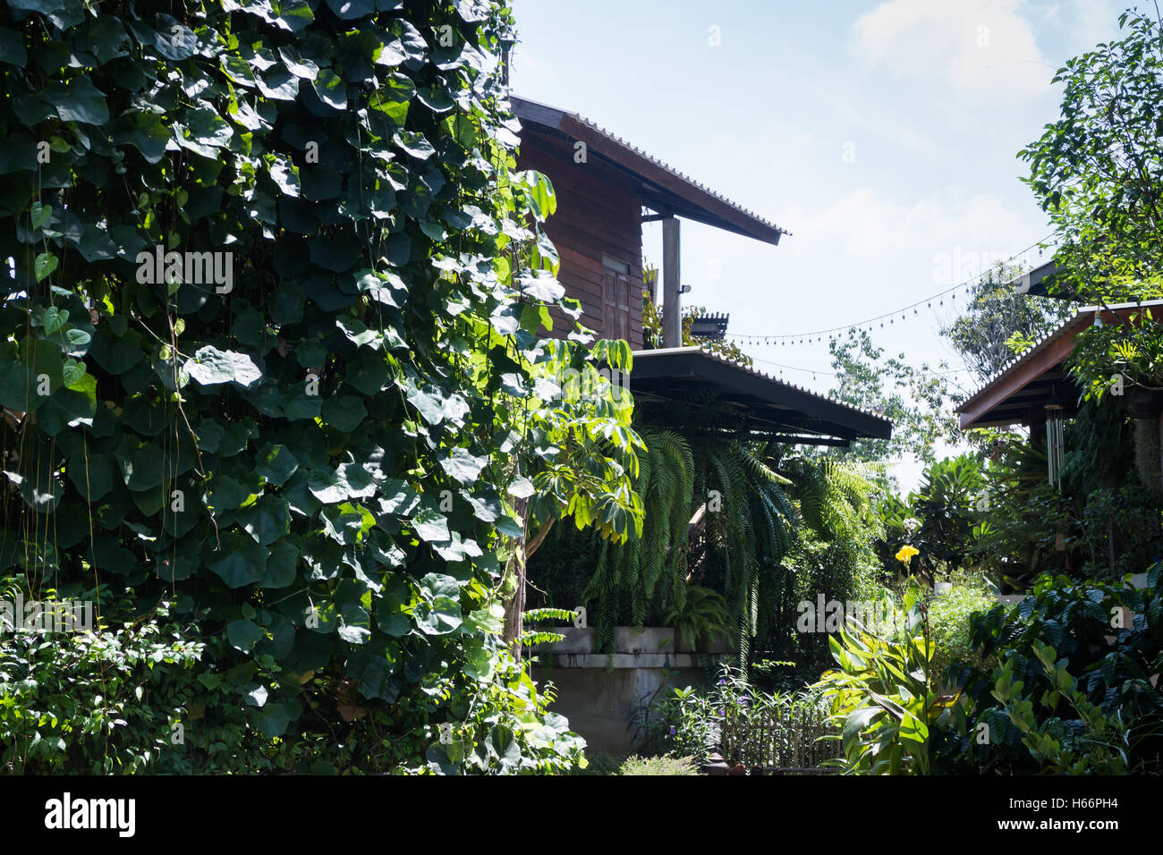 Green garden photo hi-res stock photography and images - Alamy