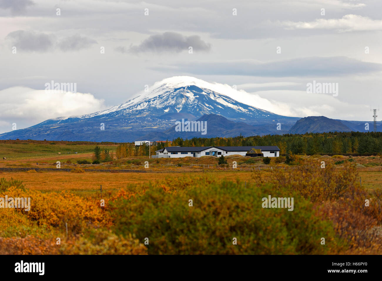 Hecla the most active volcano in Iceland with house in foreground, Southwest Iceland, North Atlantic, Europe Stock Photo