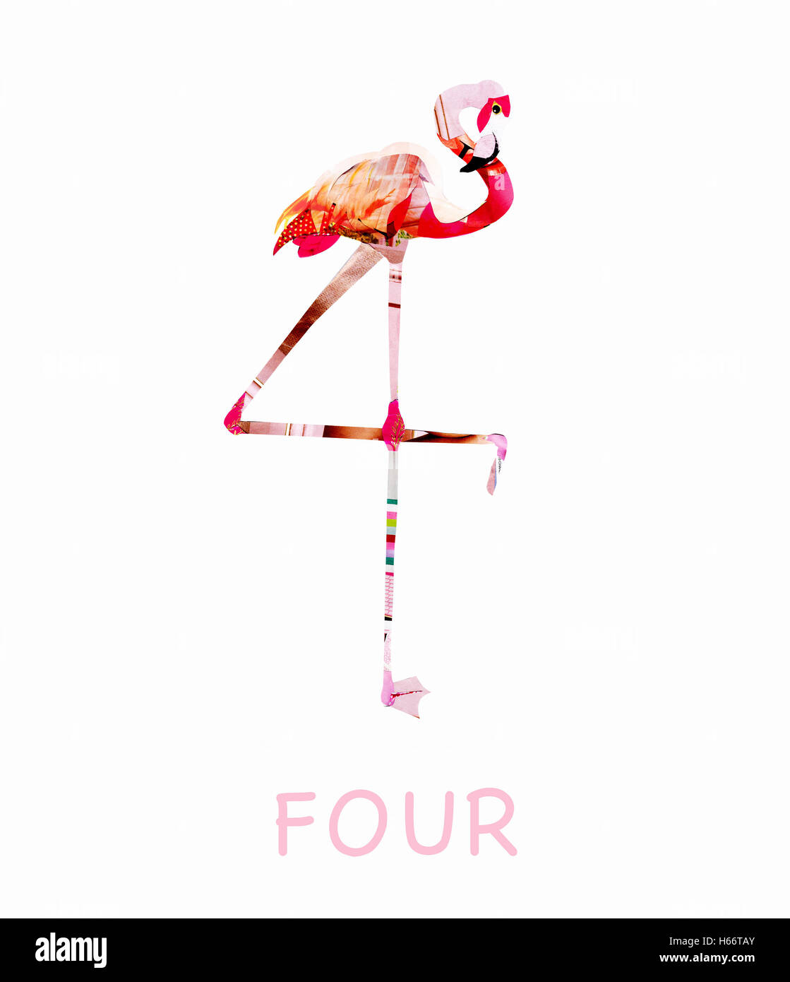 Pink flamingo standing against white background Stock Photo