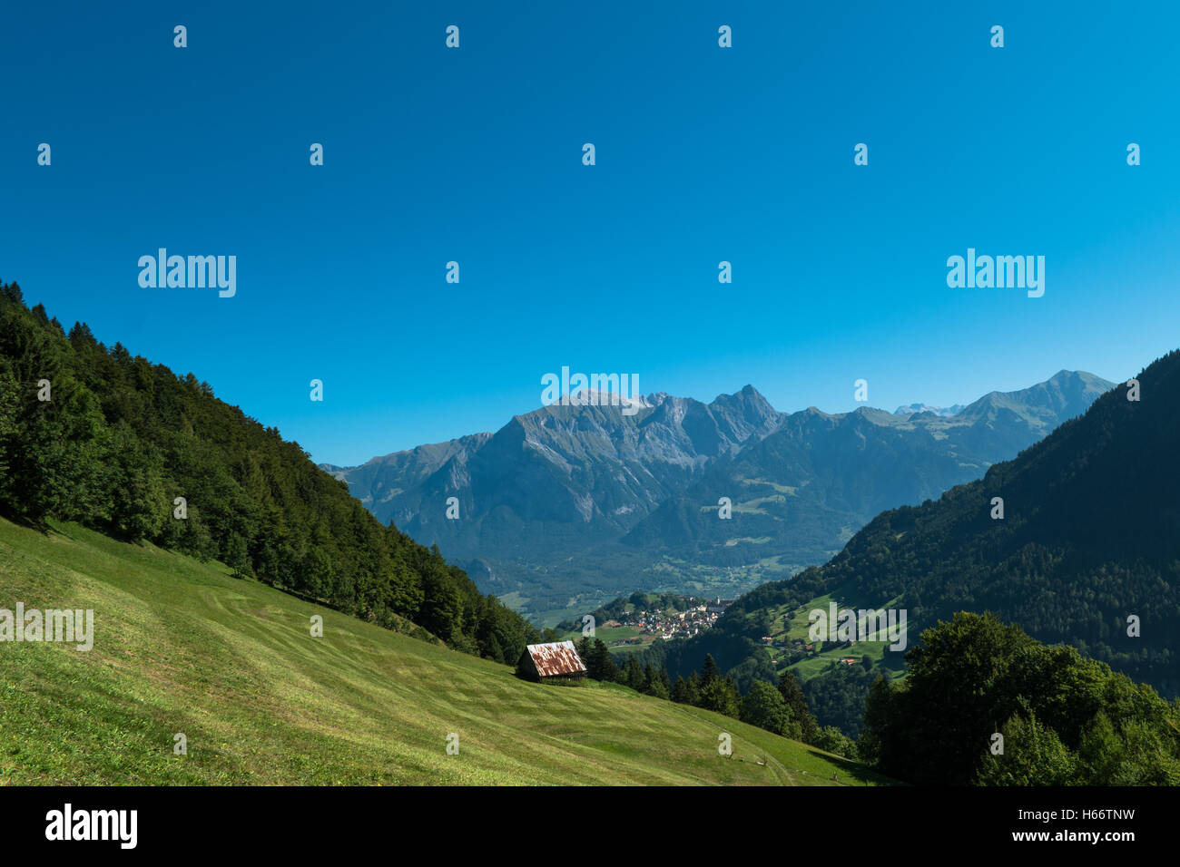 A Landscape with the Swiss Alps in the background and a blue sky Stock Photo