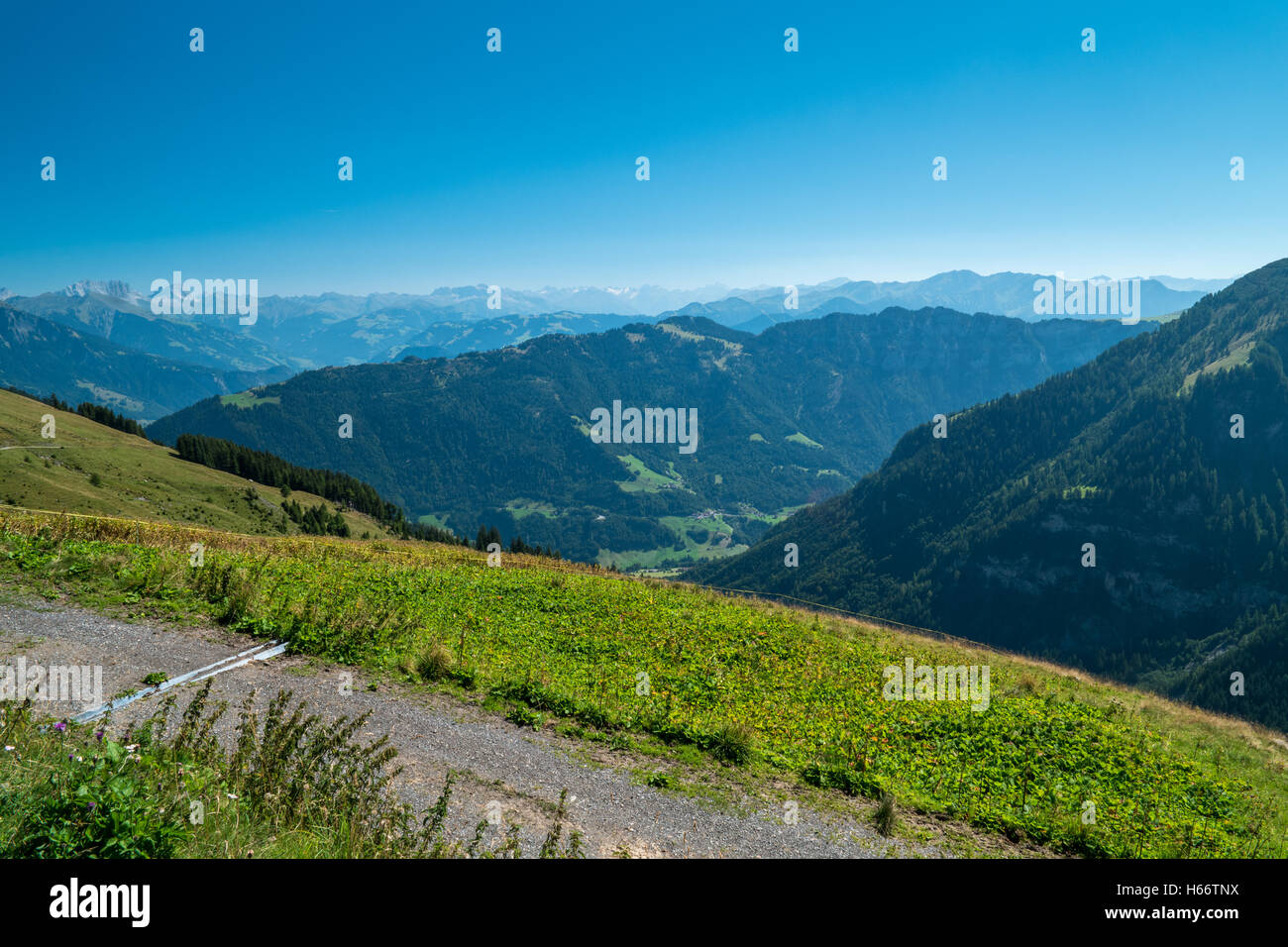 A Landscape with the Swiss Alps in the background and a blue sky Stock Photo