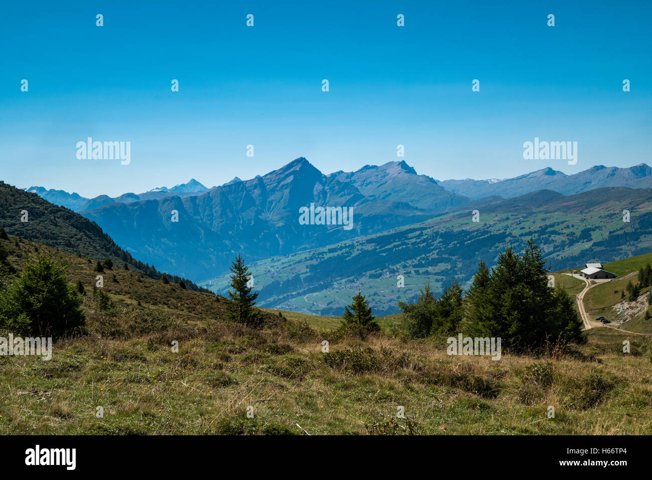 A Landscape with the Swiss Alps in the background and a blue sky Stock ...