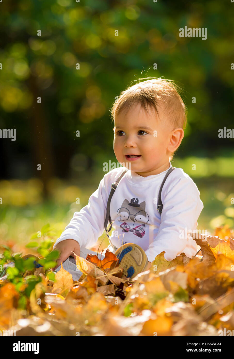 Two years old boy playing in park Stock Photo Alamy