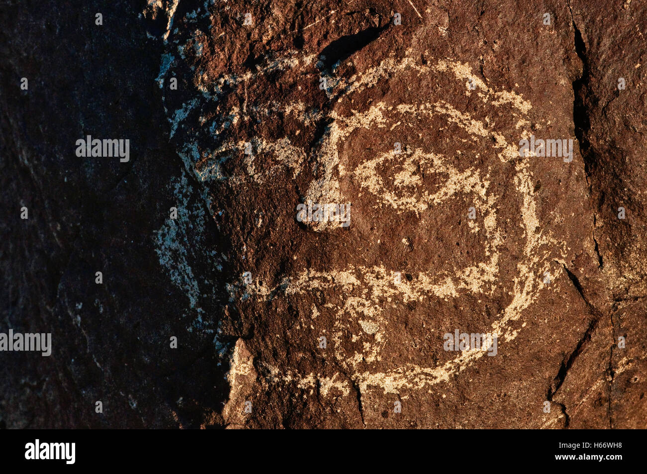 Face in Jornada Mogollon style rock art, Three Rivers Petroglyph Site, sunrise, Chihuahuan Desert near Sierra Blanca, New Mexico Stock Photo