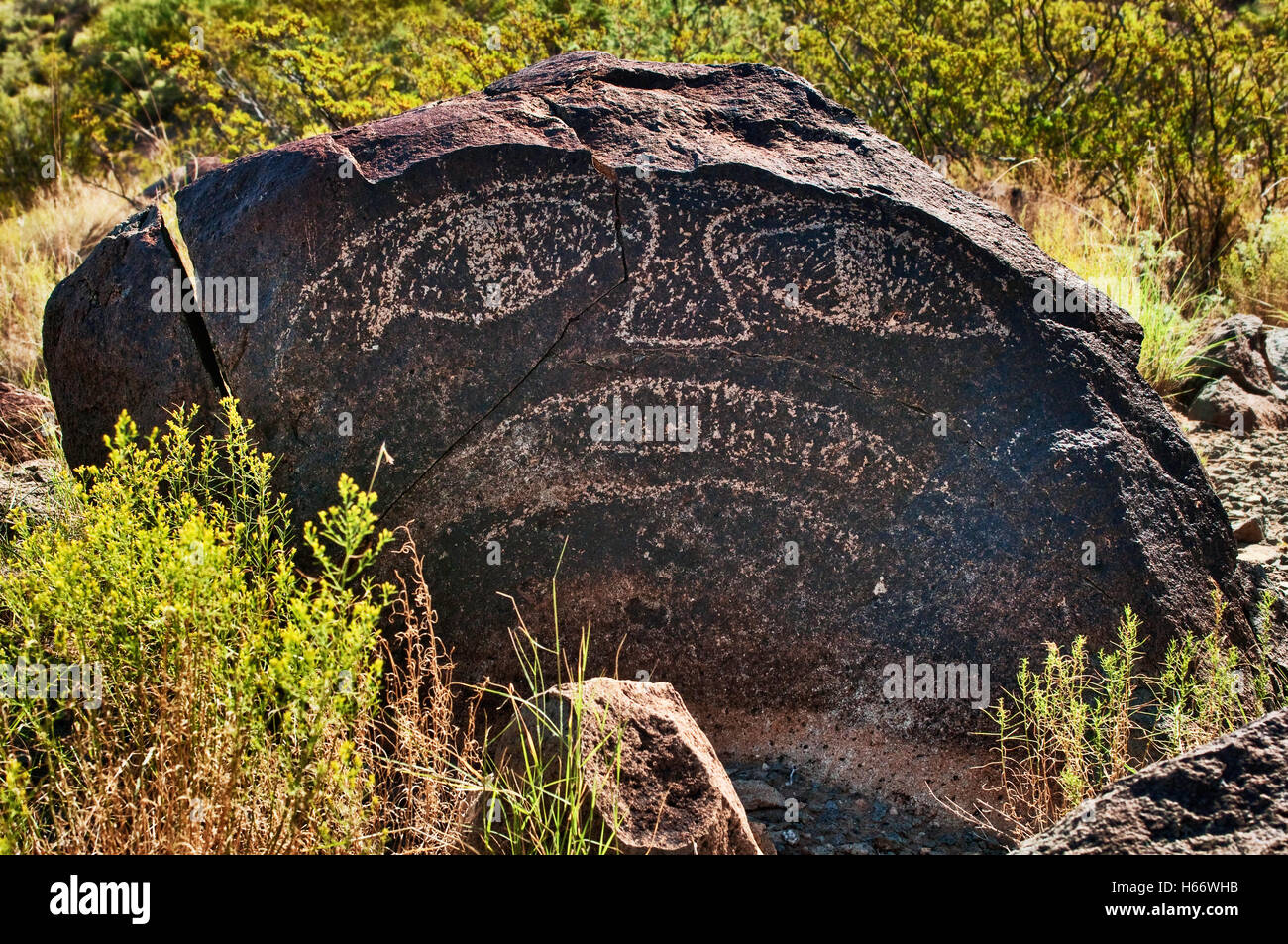 Face in Jornada Mogollon style rock art at Three Rivers Petroglyph Site, Chihuahuan Desert near Sierra Blanca, New Mexico, USA Stock Photo
