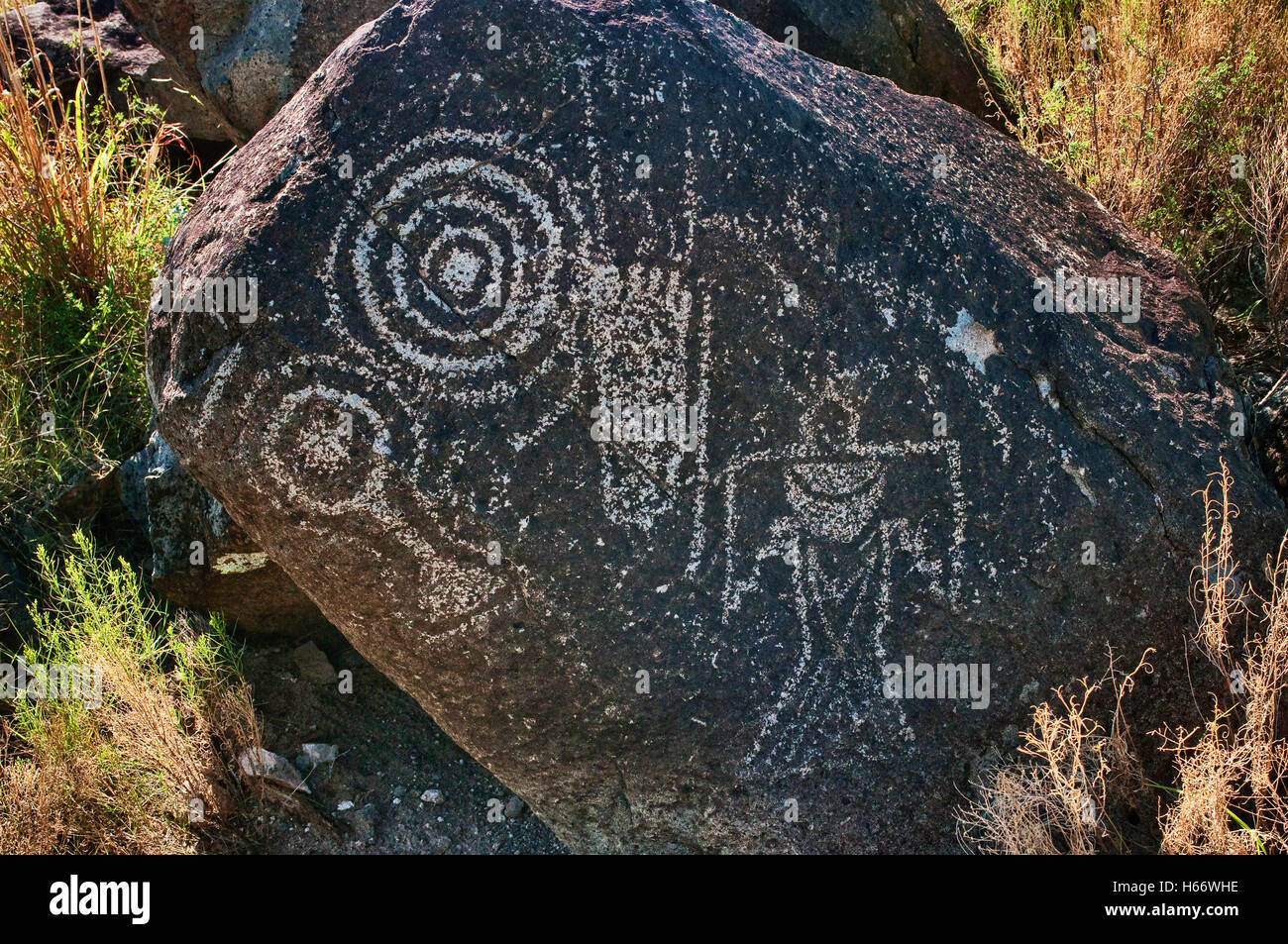 Jornada Mogollon style rock art at Three Rivers Petroglyph Site, Chihuahuan Desert near Sierra Blanca, New Mexico, USA Stock Photo