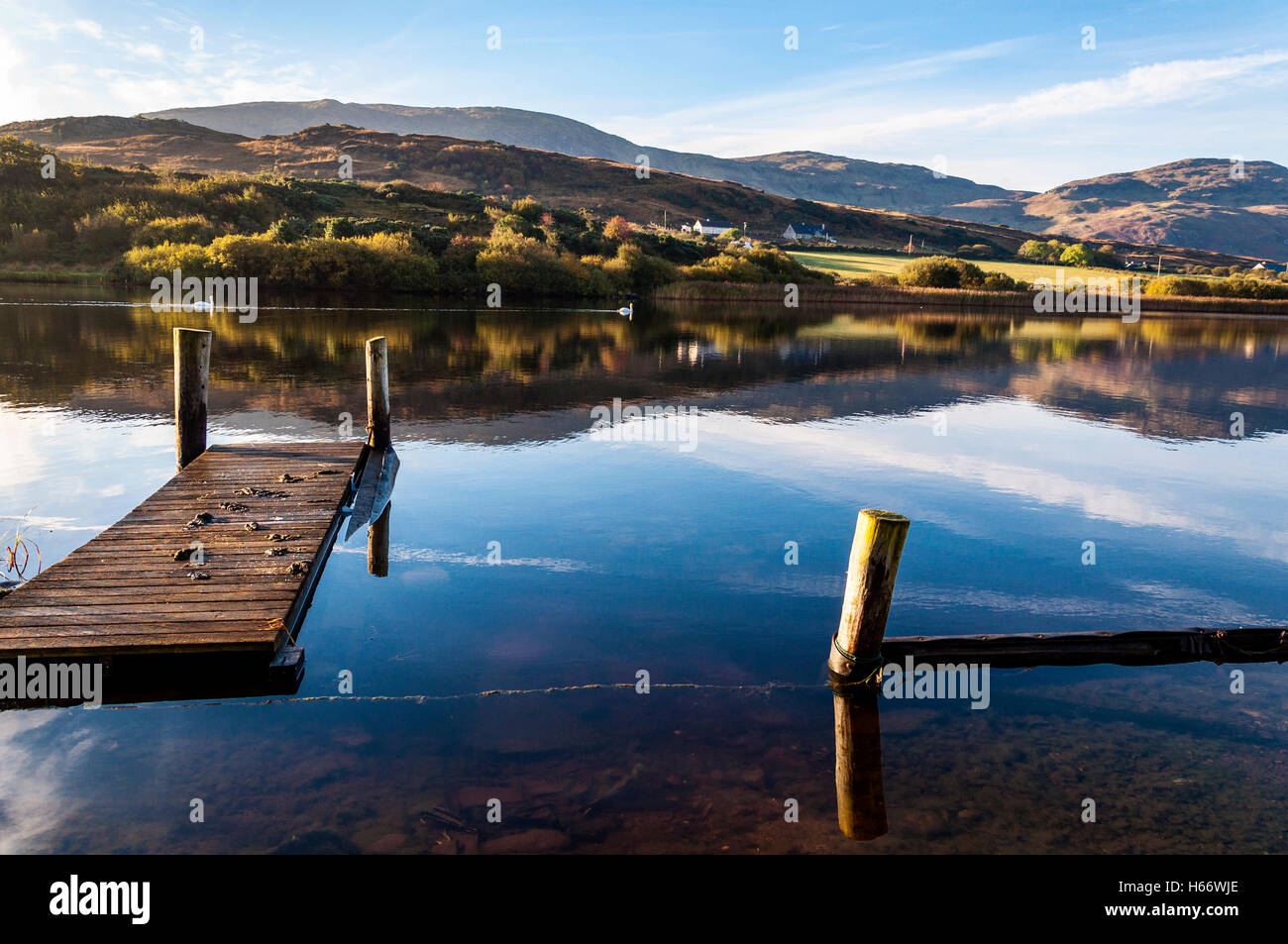 Swans and reflections in Lake Shanaghan, Ardara, County Donegal, Ireland Stock Photo