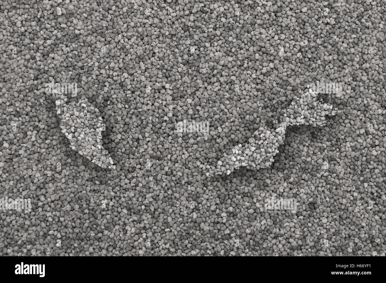 Map of Malaysia on poppy seeds Stock Photo Alamy