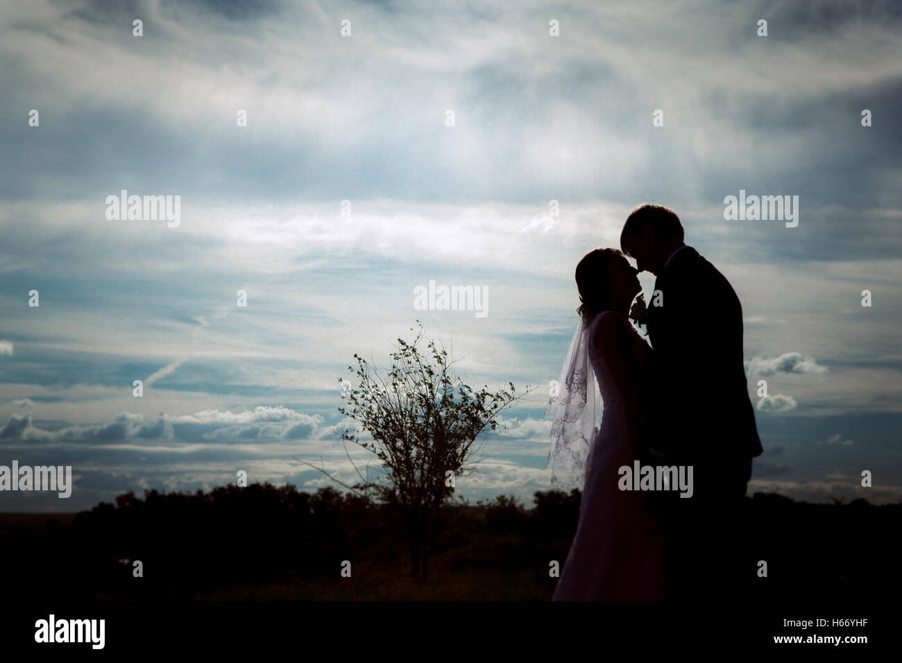 silhouettes of bride and groom on the background field and sky Stock ...