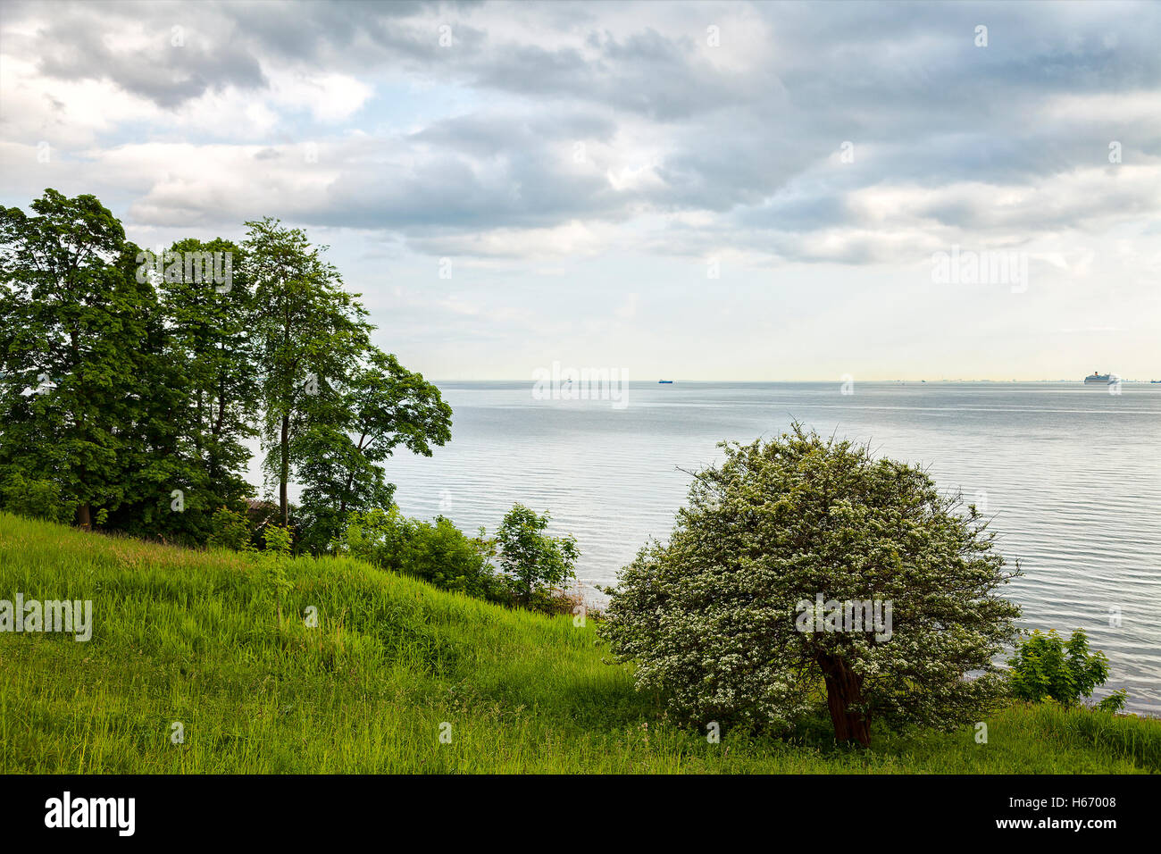 Image of coastal landscape by the south swedish coast. Stock Photo