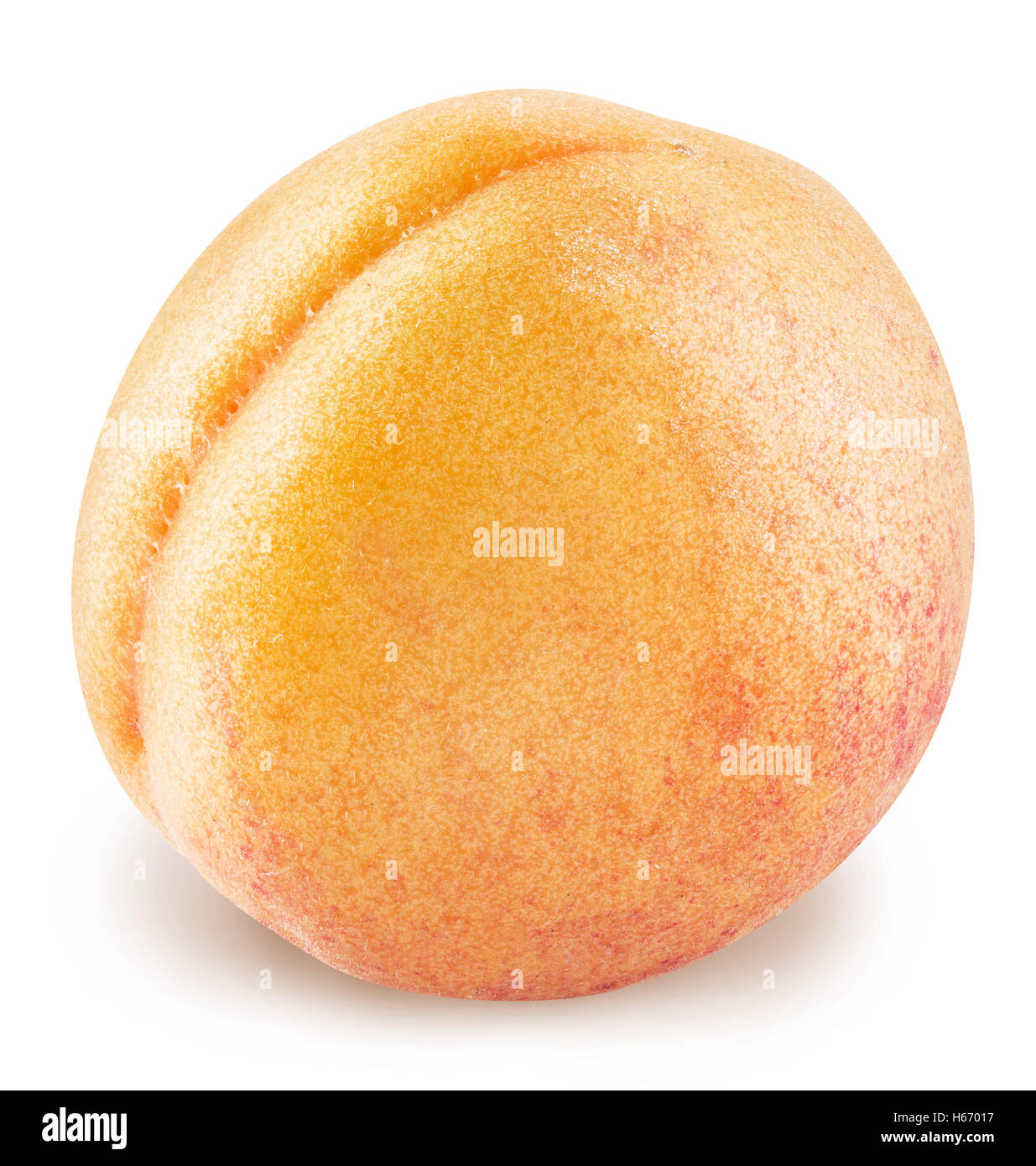 Ripe apricot fruit. Clipping paths. Stock Photo