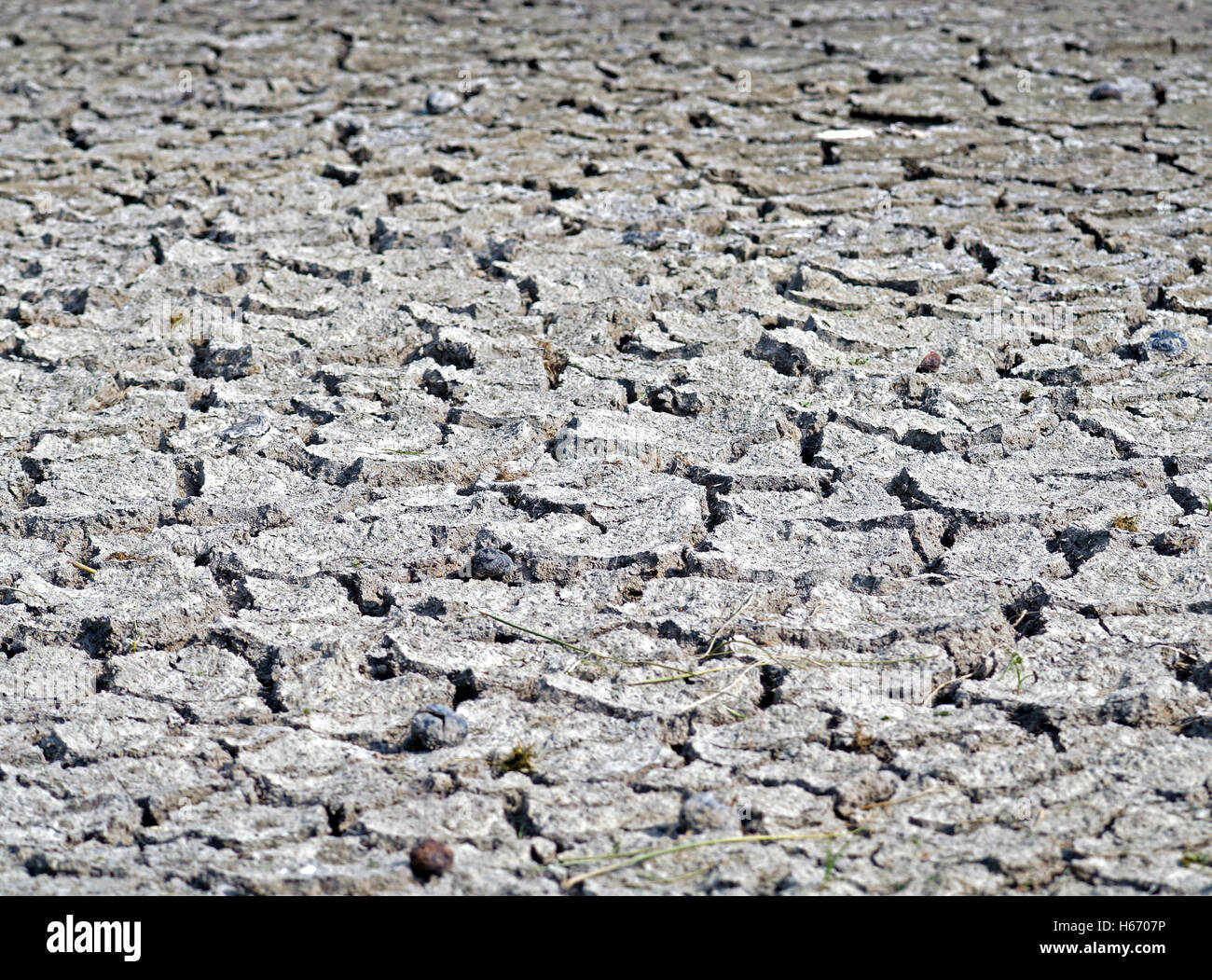 Arid Lands Hi Res Stock Photography And Images Alamy