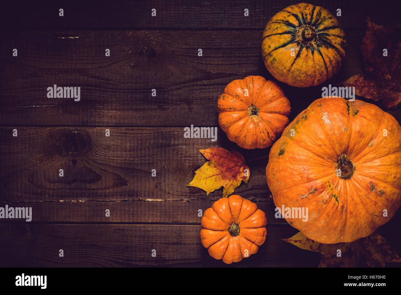 Thanksgiving day background: pumpkins and maple leaf on wooden ...