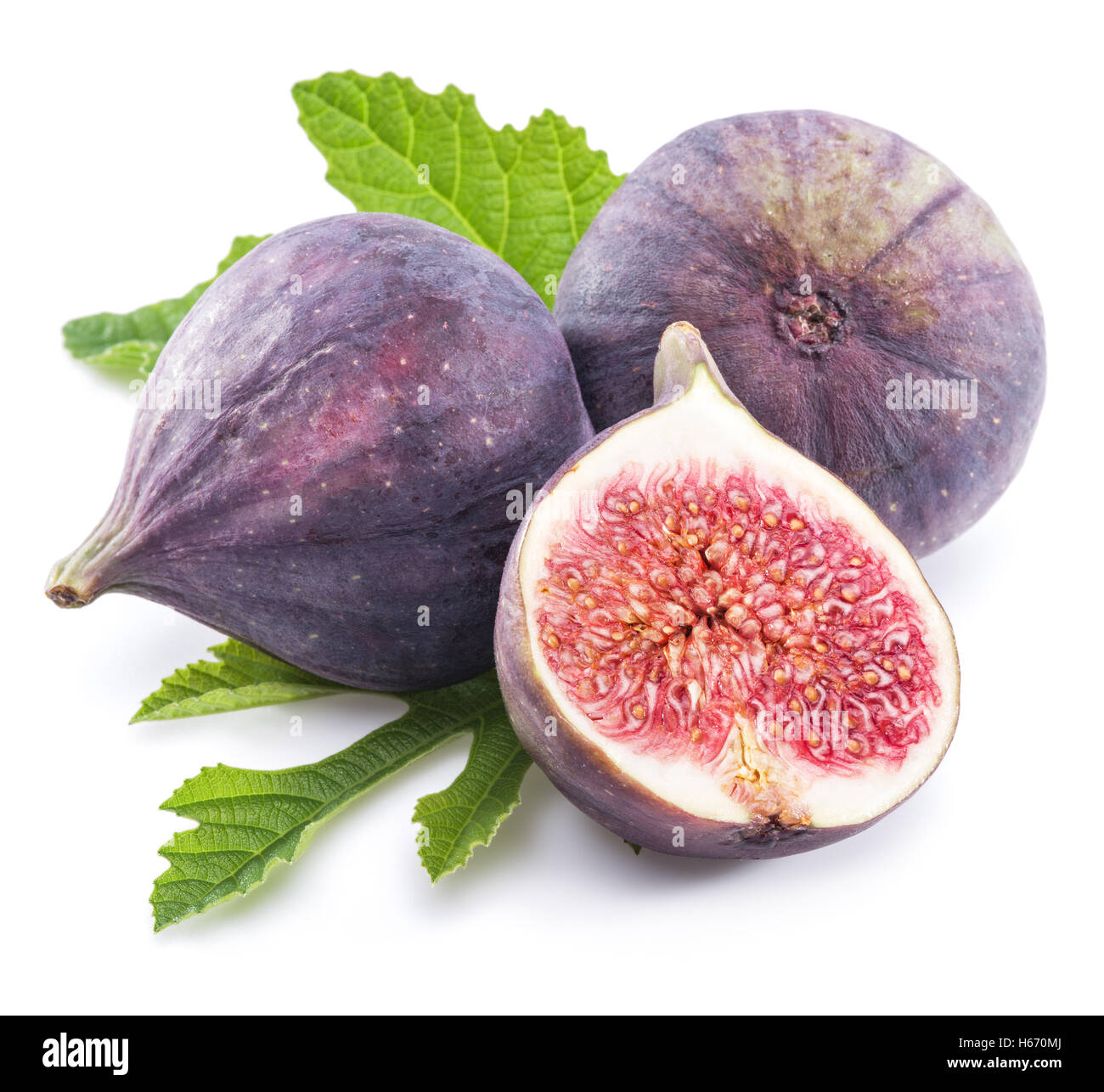 White fig plant hires stock photography and images Alamy