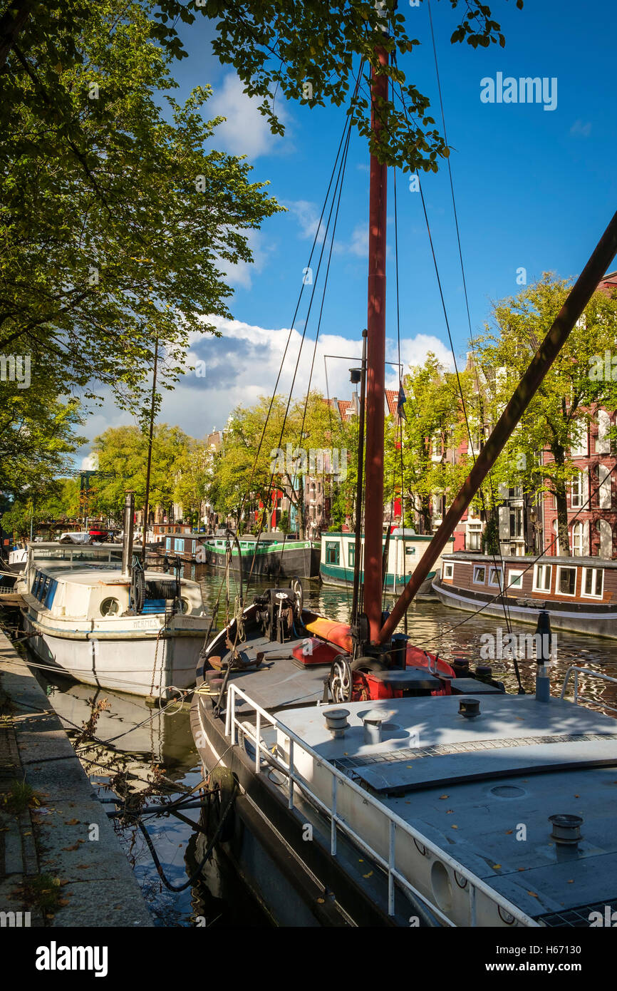 Bright sunshine on houseboats moored on a leafy canal in Amsterdam. Stock Photo