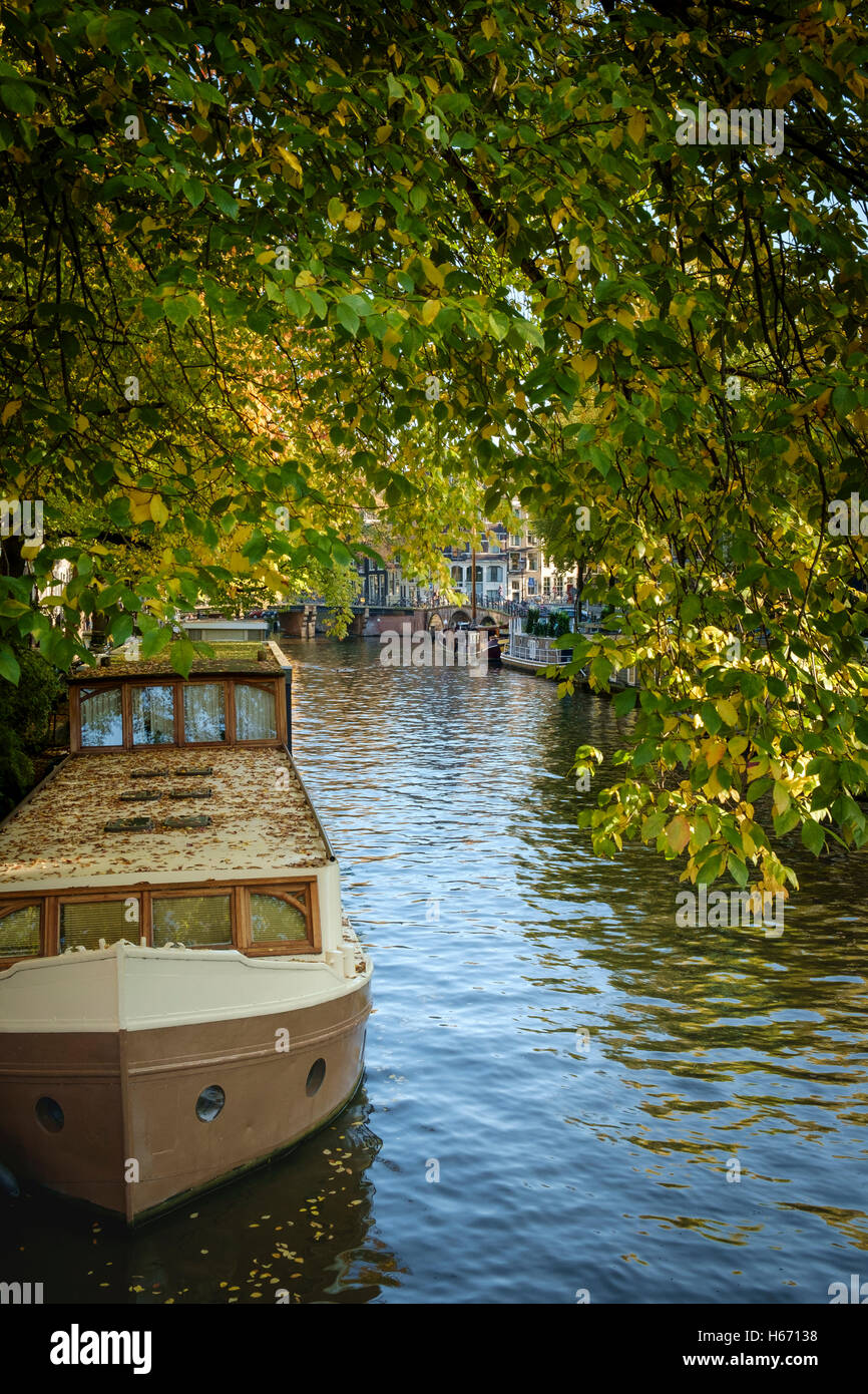 Autumn colours of overhanging trees framing houseboats on an Amsterdam