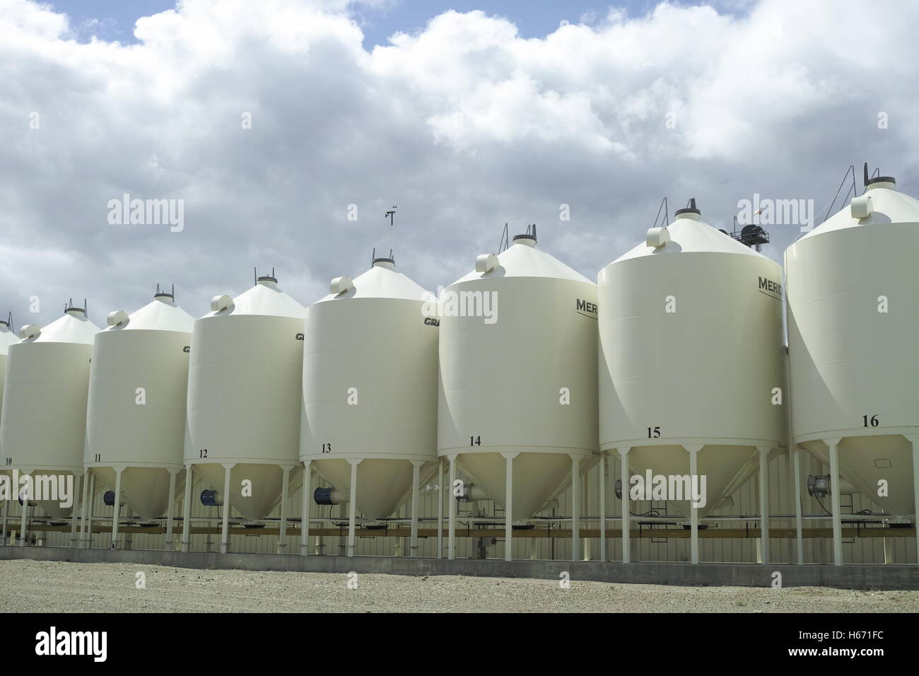 grain storage bins Stock Photo Alamy