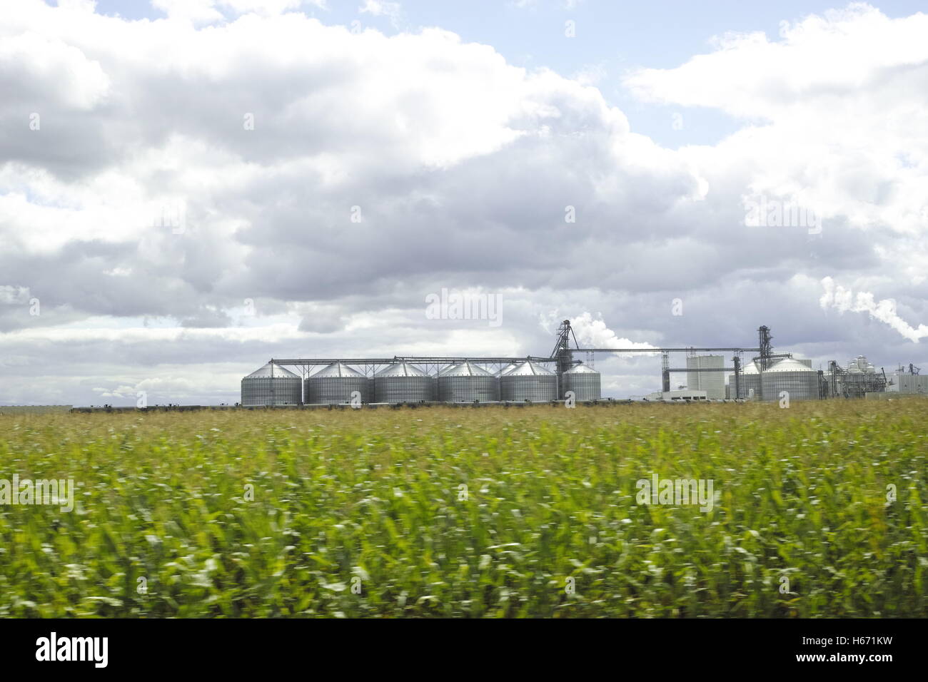 agricultural refinery Stock Photo