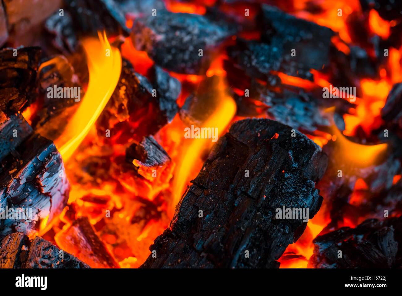 Beautiful burning fire flame background and coals Stock Photo