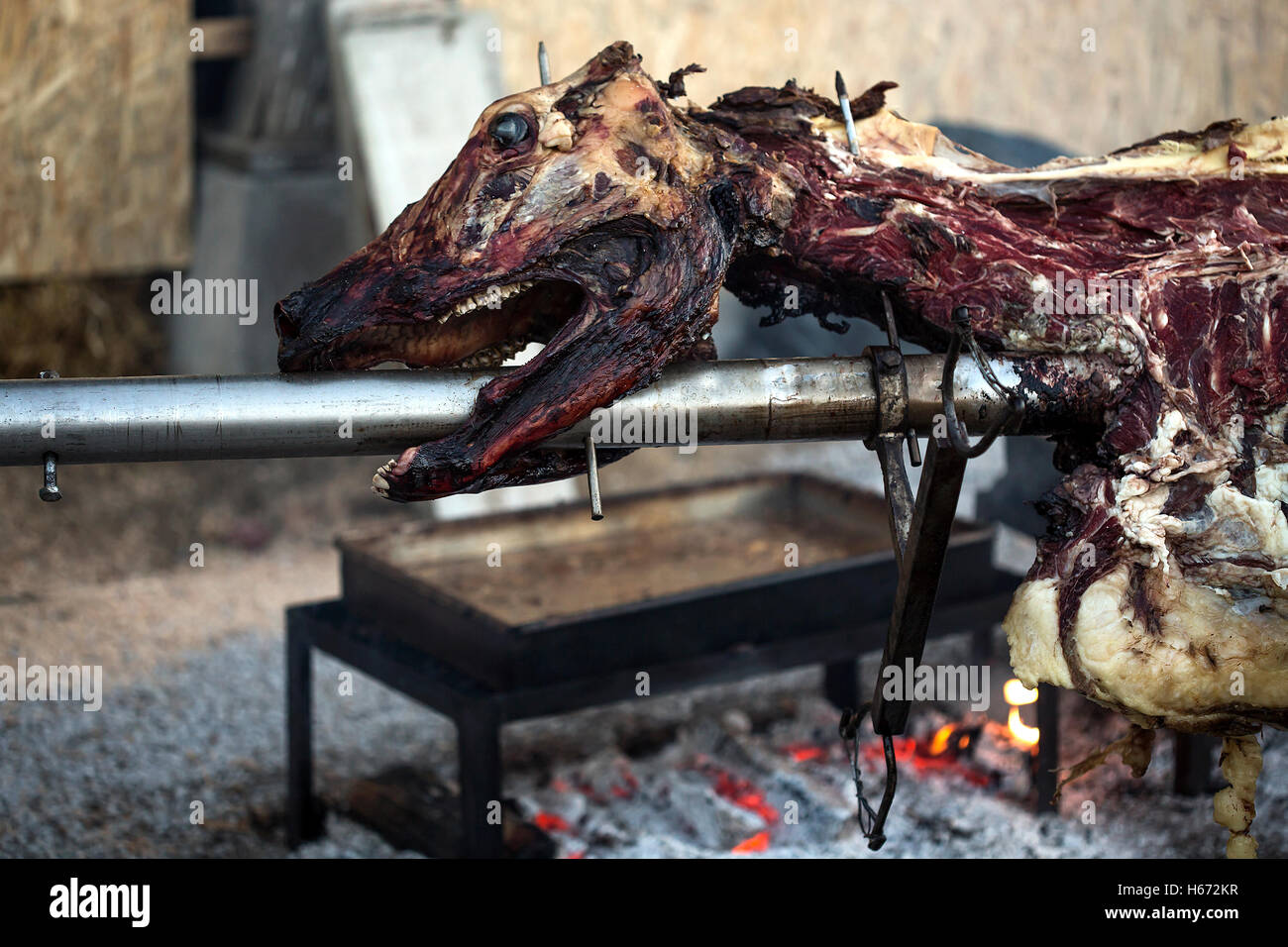 Taurus bull being cooked on a open fire. Stock Photo