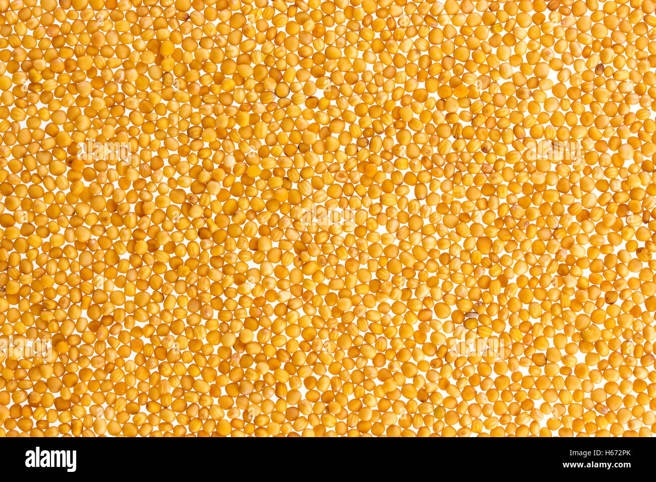 Yellow mustard seeds texture or background Stock Photo Alamy