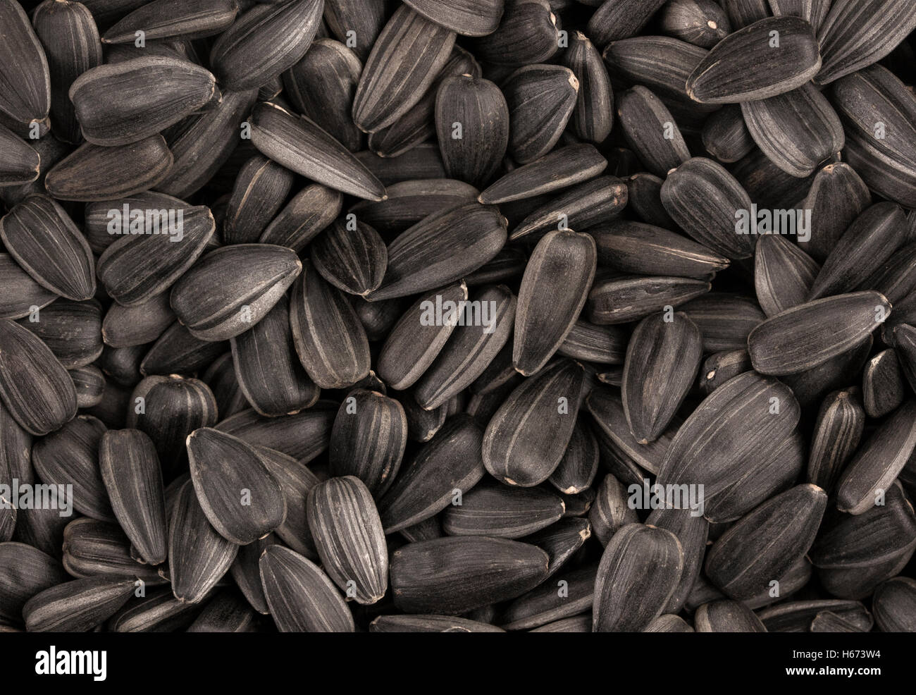 Black sunflower seeds texture or background Stock Photo - Alamy