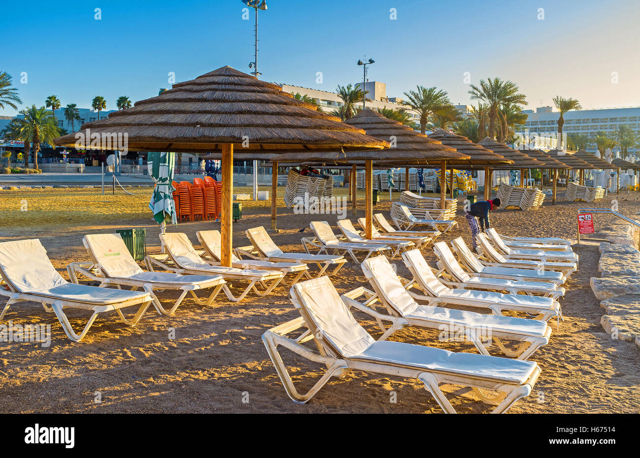 conjunto adidas feminino vinho