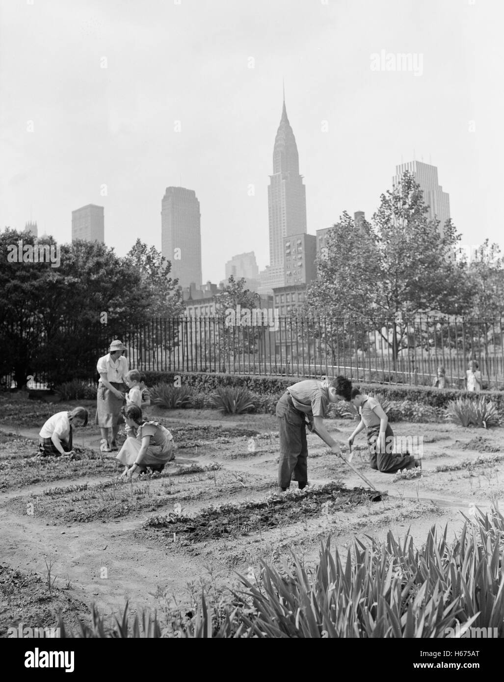 Children Working in School Victory Garden, First Avenue between Thirty-Fifth and Thirty-Sixth Streets, New York City, New York, USA, Edward Meyer for Office of War Information, June 1944 Stock Photo