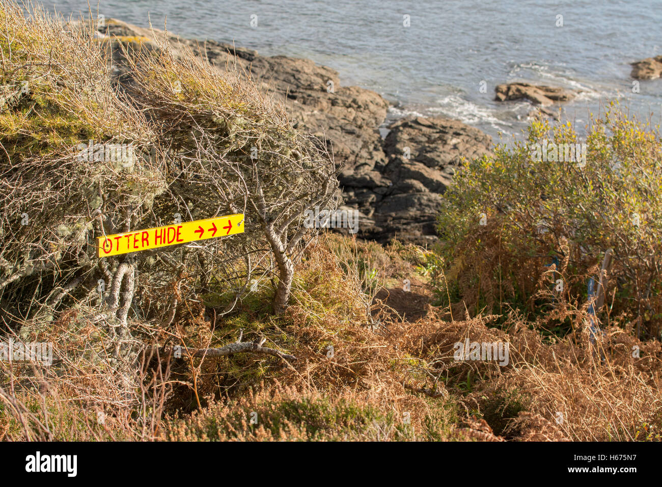 otter hide sign, Skye Forest Garden, Armadale, Isle of Skye, Scotland, UK Stock Photo