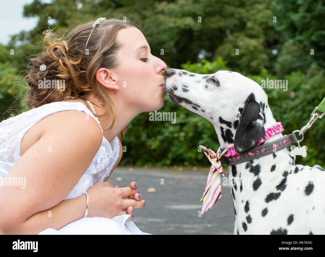 Beautiful young bride rubs noses and has kisses with her faithful dog companion on her wedding day. Dog has lead and collar Stock Photo