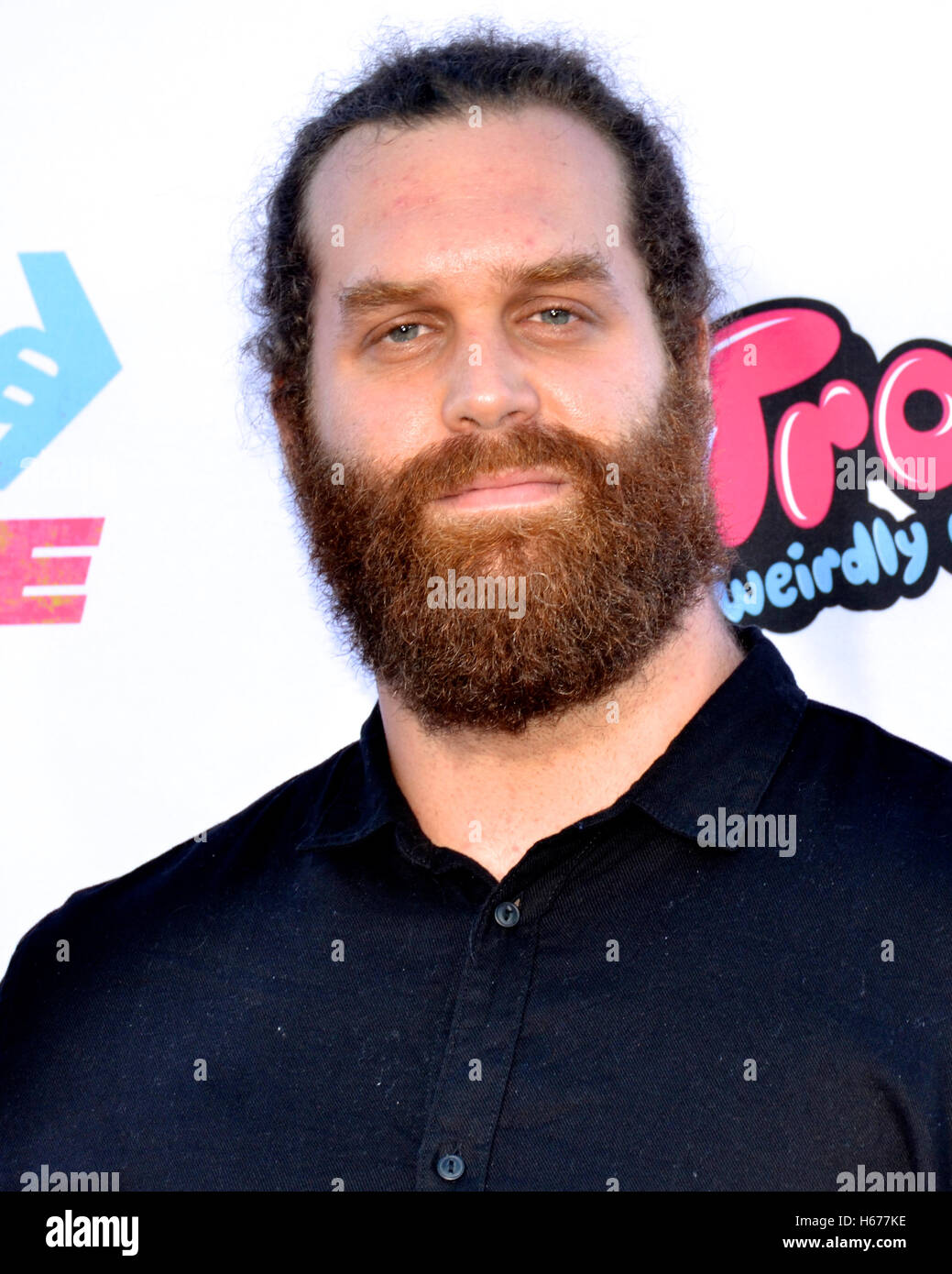 Harley Morenstein attended the Premiere of Smosh: The Movie at the FOX Westwood Village Theater Stock Photo