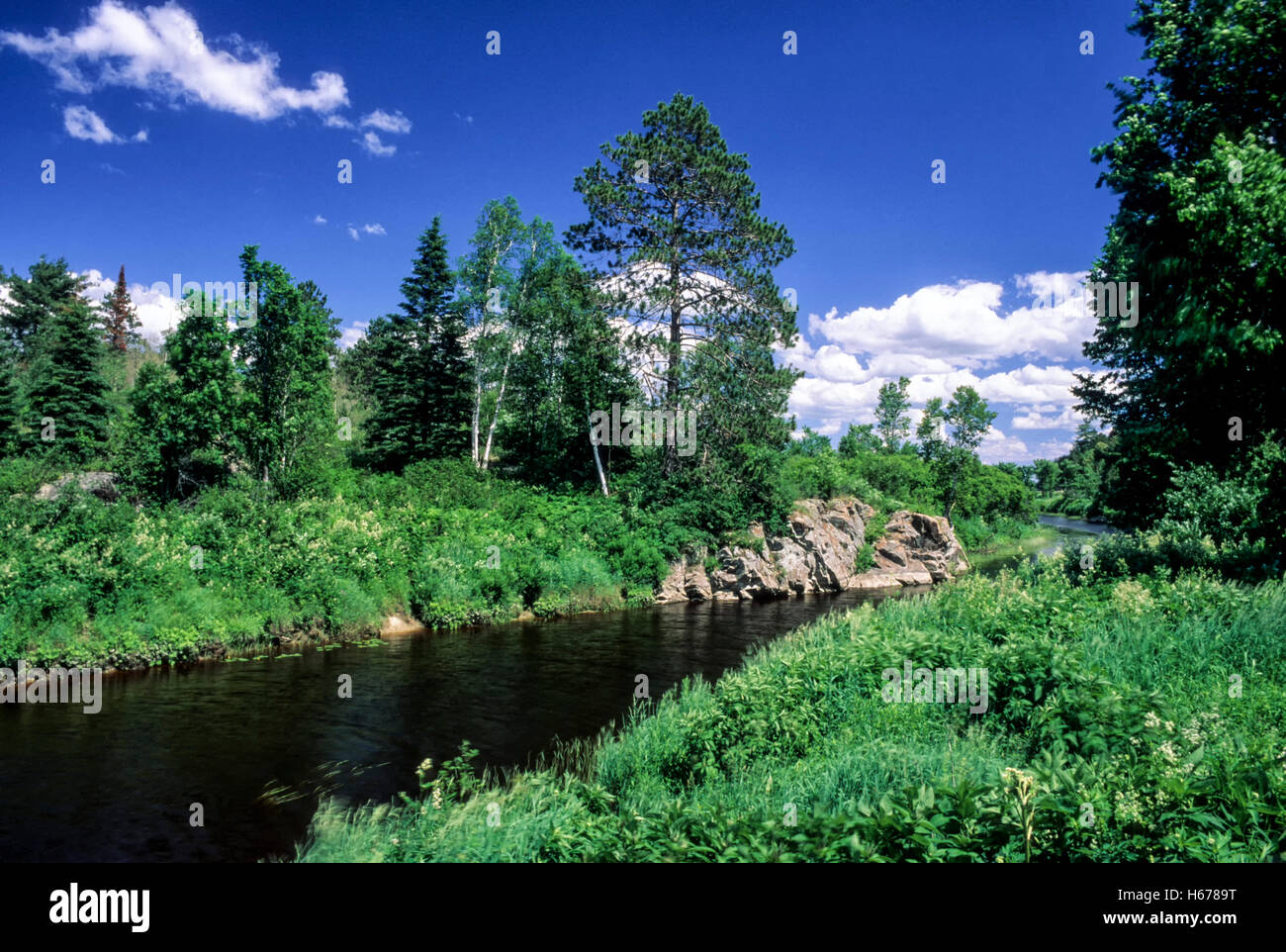 Veuve River in summer, near Hagar, Ontario, Canada Stock Photo Alamy