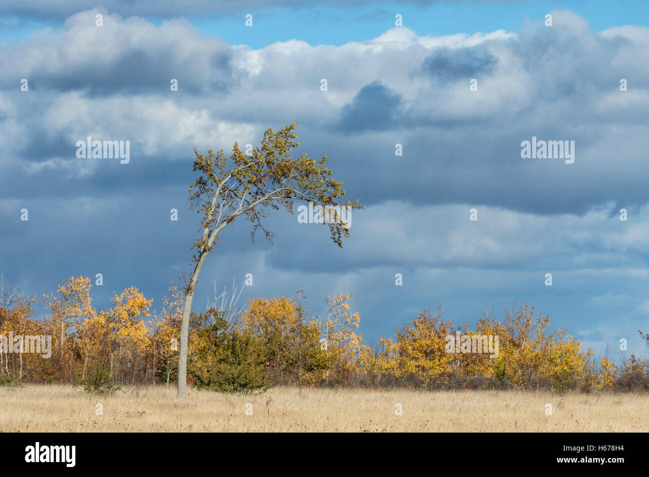 Manitoulin Island in autumn, Ontario, Canada Stock Photo