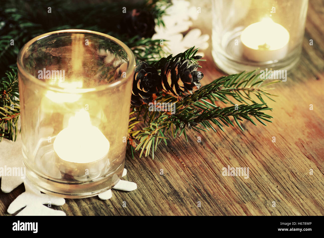 branch candlestick cone Stock Photo Alamy