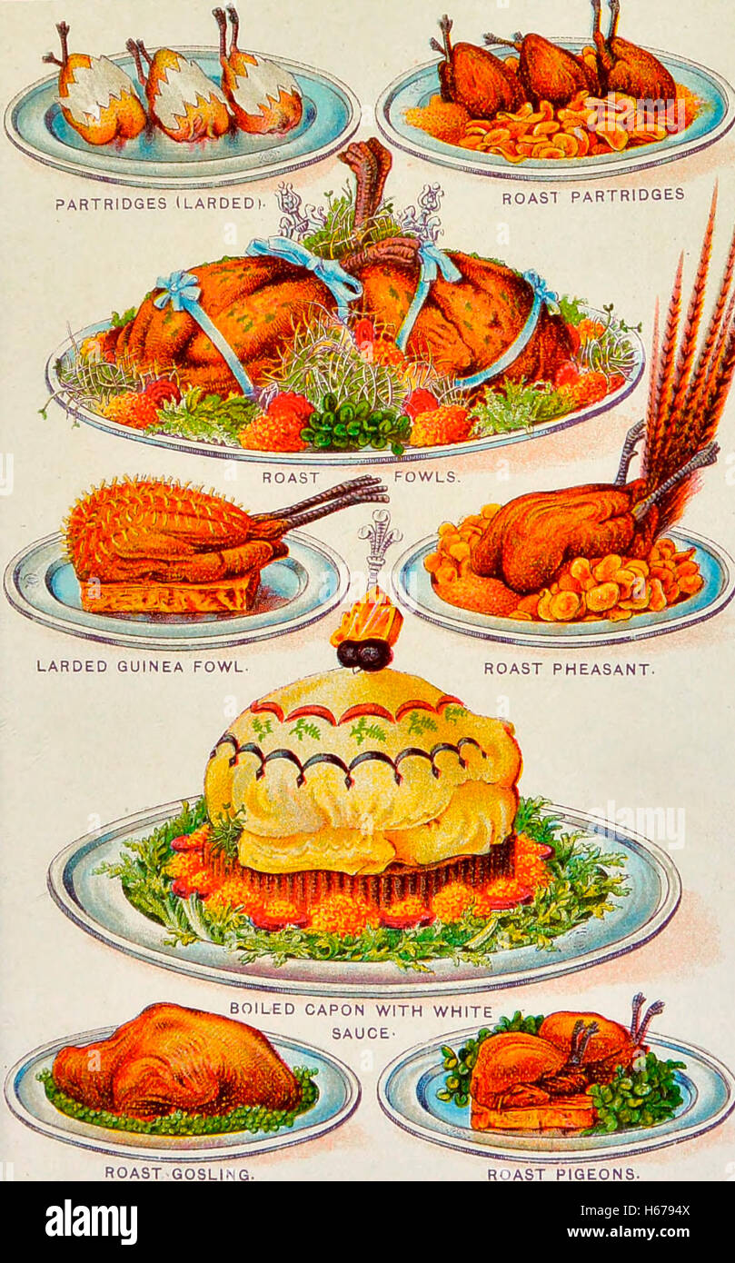 Illustrations of various poultry in a cook book, circa 1900 Stock Photo