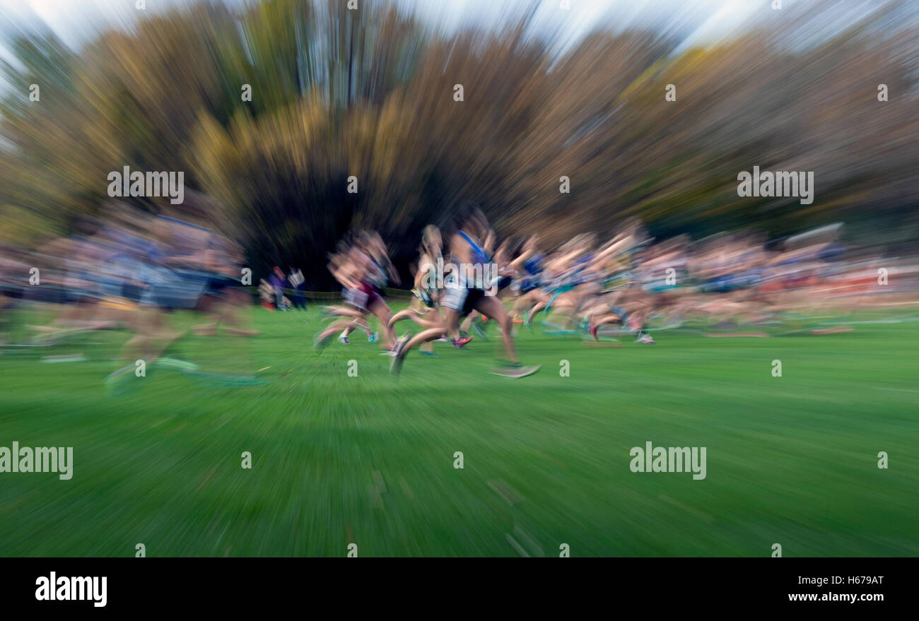 Runners in a Wisconsin HIgh School girls' Cross Country sectional meet