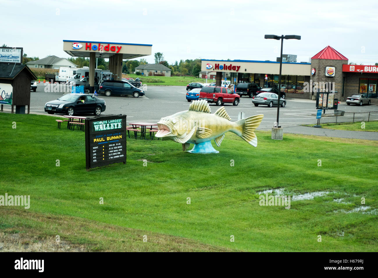 View of the worlds largest walleye caught in Rush Lake by Paul Bunion