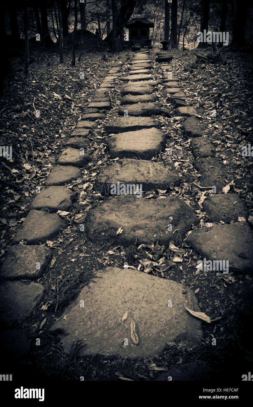 Stone path to a Shintoist sanctuary Stock Photo