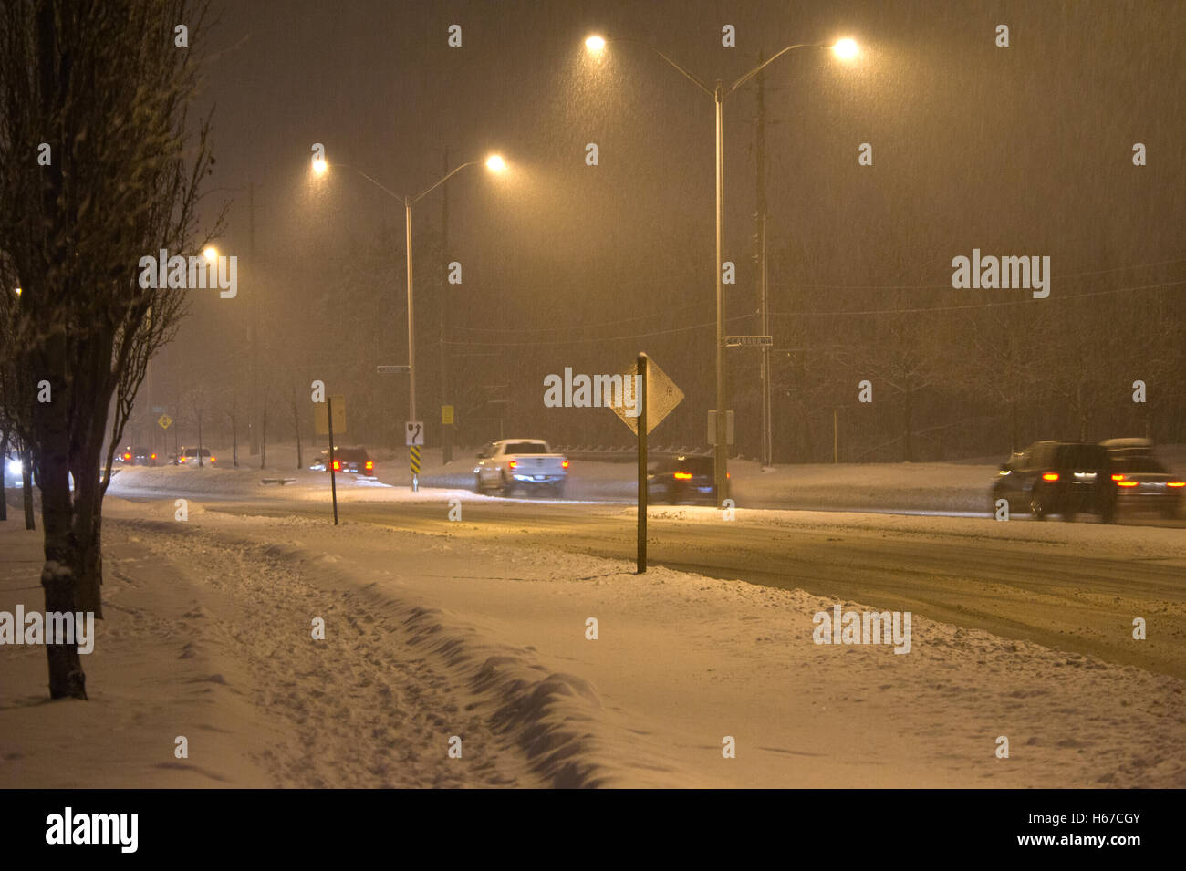 Snow falling on a deserted street at night in Toronto suburbs Stock