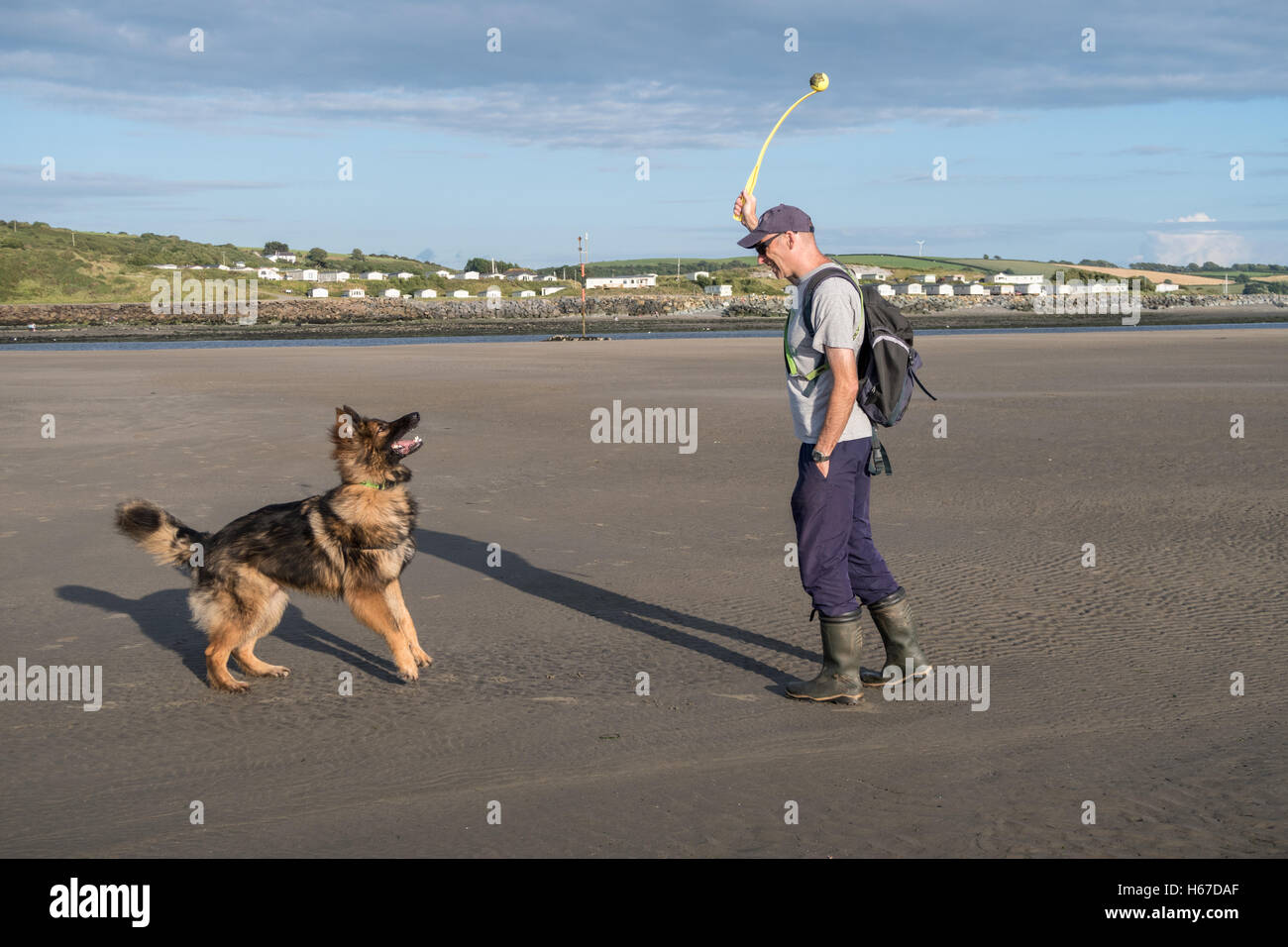 Man throwing a ball for his dog on the beach. They are having fun playing a game together Stock Photo