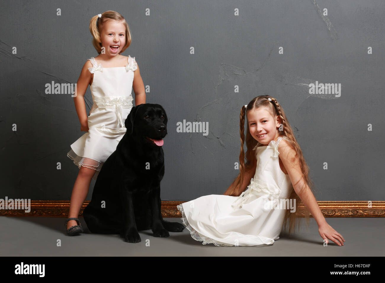 Little girl and dog in the studio (photoshoot Stock Photo - Alamy