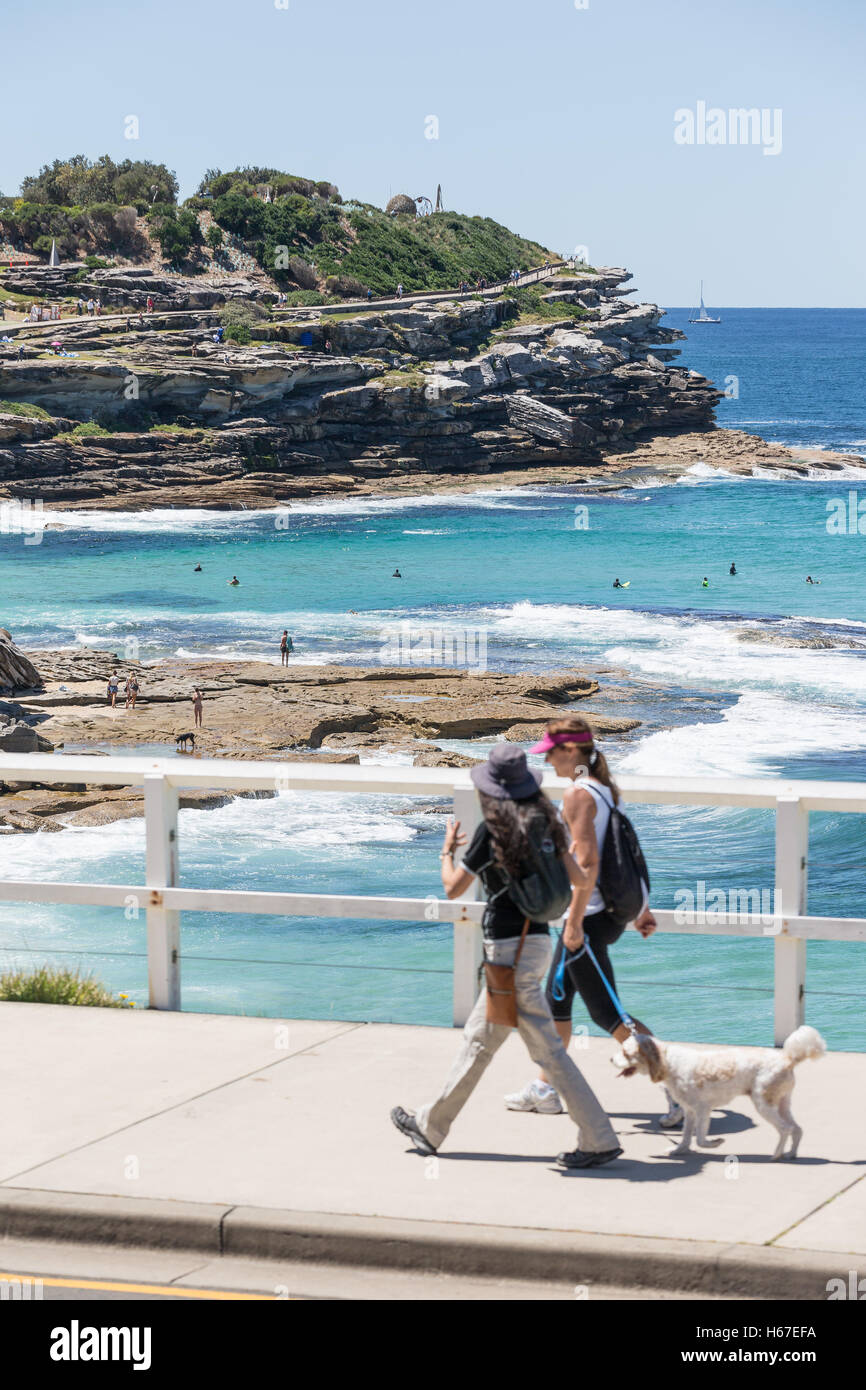 Two people and a dog walking part of the Bondi to Coogee cliff top walk in Sydney Stock Photo