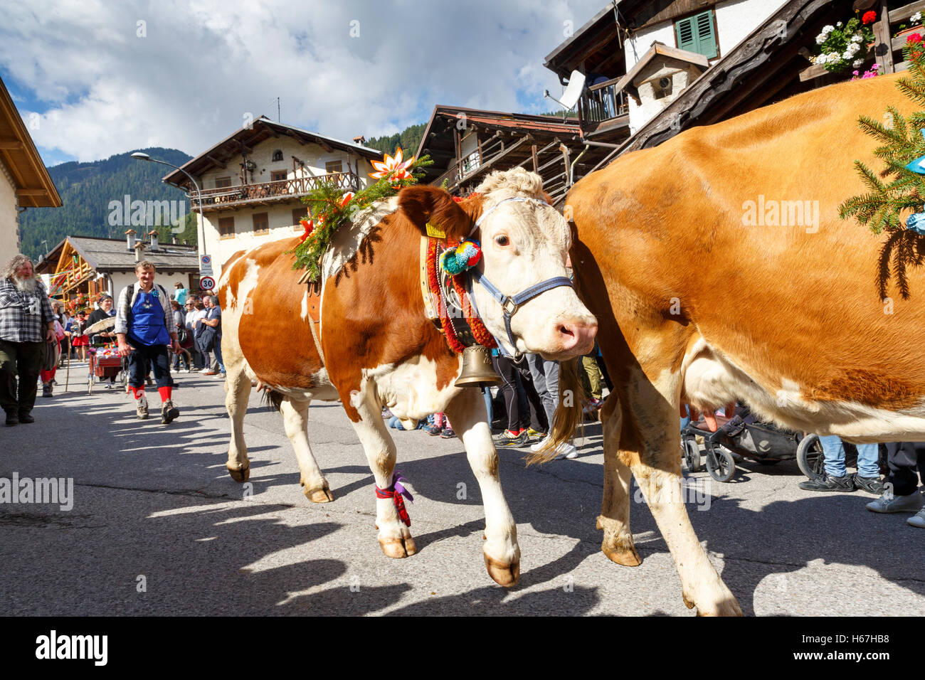 Falcade, Belluno, Italy - September 24, 2016: Se Desmonteghea a great party in Falcade Stock Photo