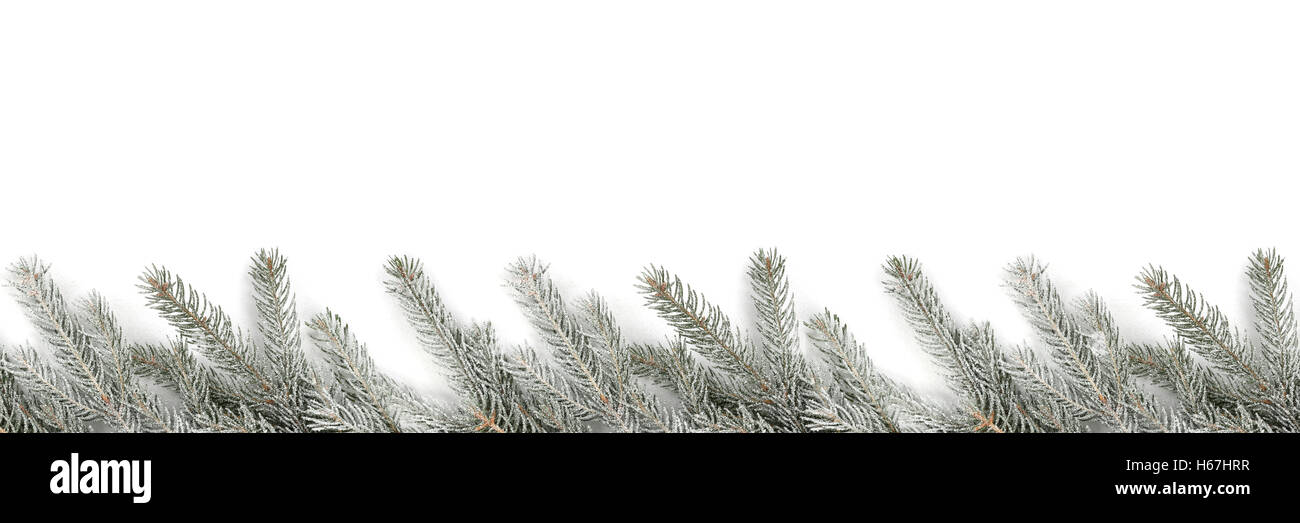 Christmas border with fir tree branches hi-res stock photography and ...