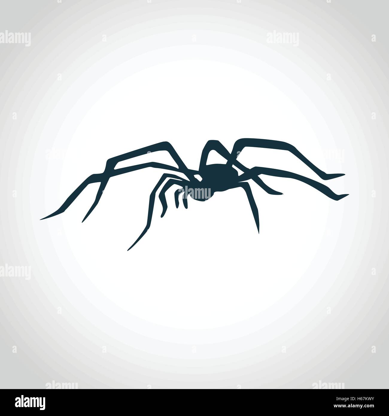 Spider black silhouette Stock Vector Image & Art - Alamy