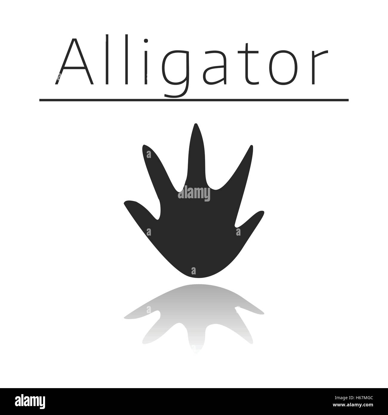 Alligator animal track Stock Vector Image & Art - Alamy