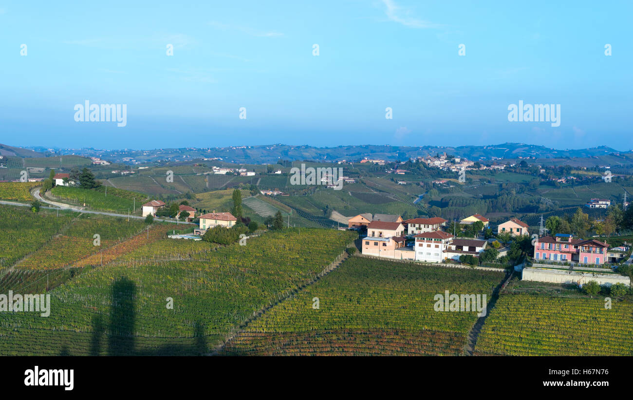 beautiful vineyard in switzerland in blue sky Stock Photo