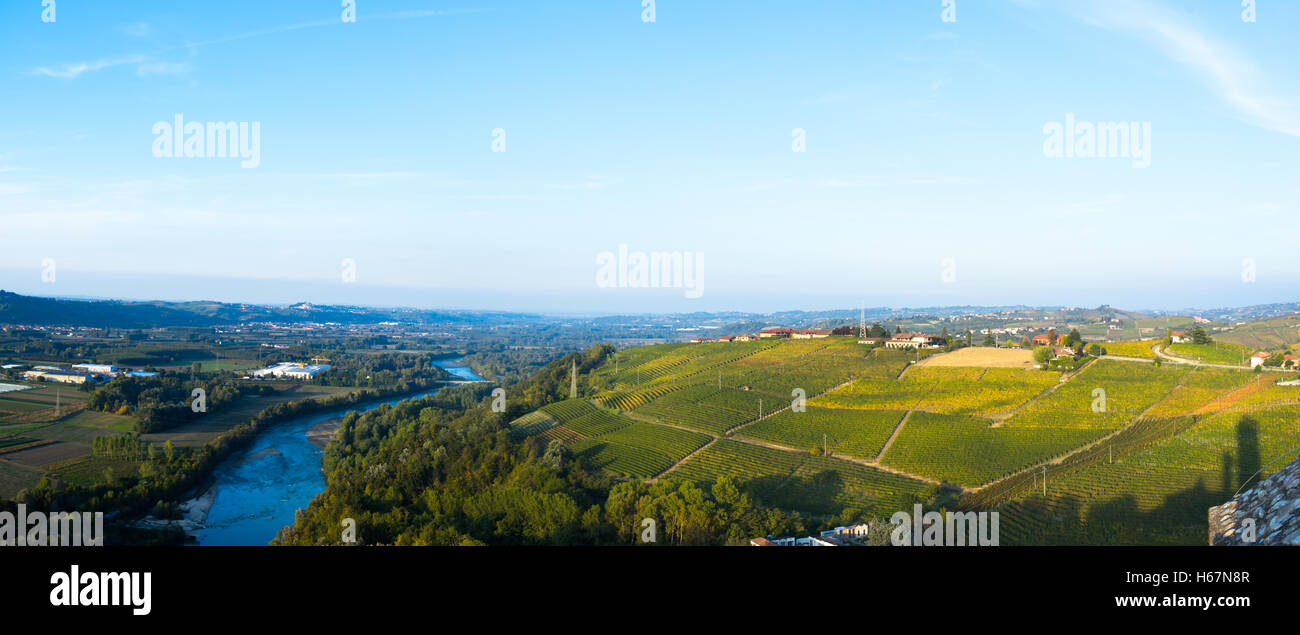 beautiful vineyard in swiss in blue sky Stock Photo